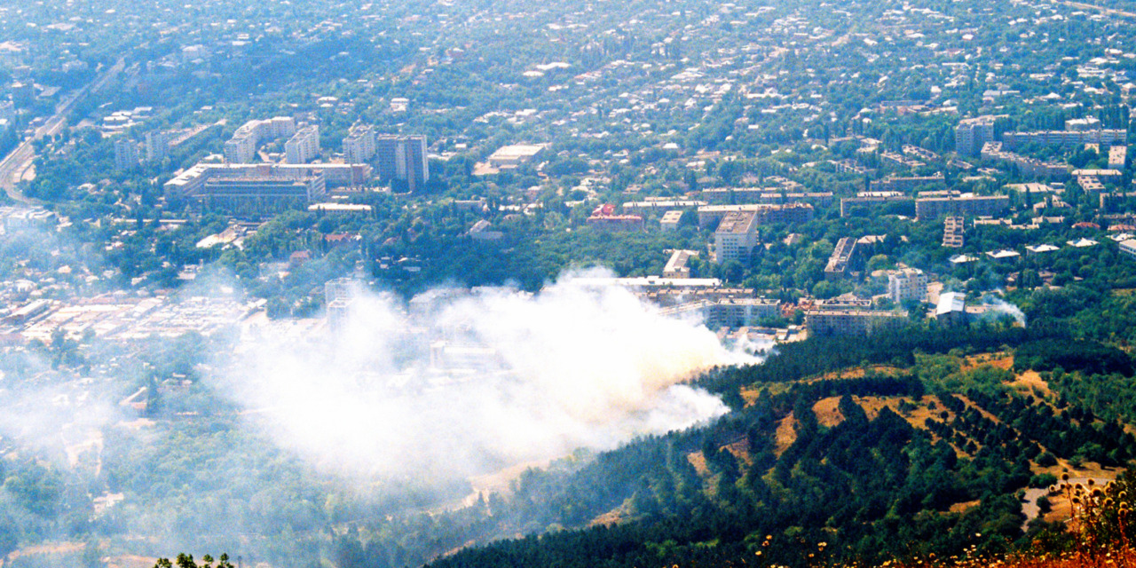 Getting Your Business Through the 2022 Wildfire Season